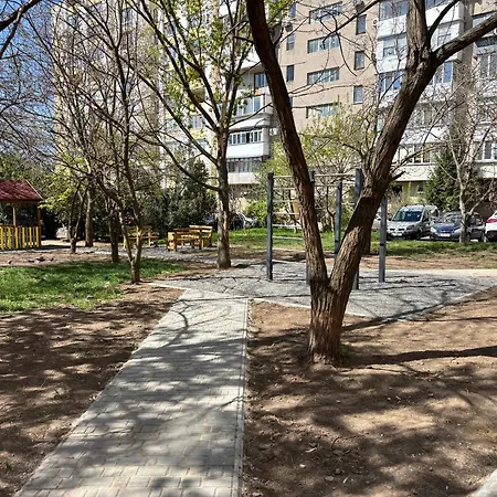 в аркадии